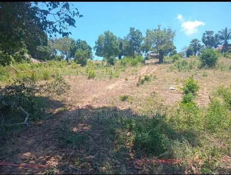 Panama Beach Side Land for Sale