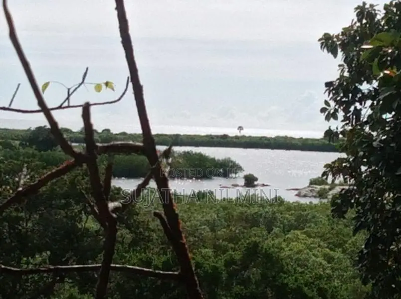 Panama Beach Side Land for Sale