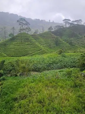 Commercial Land For Sale Watawala