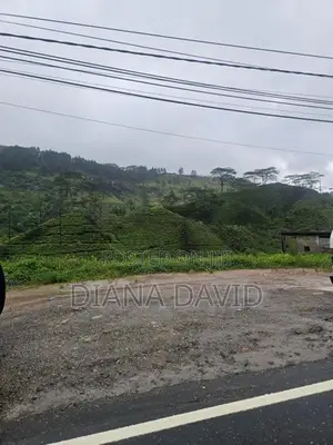 Commercial Land For Sale Watawala