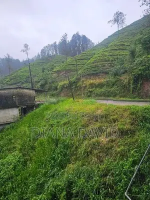 Commercial Land For Sale Watawala