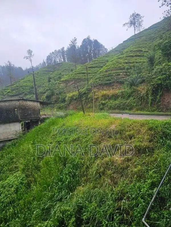 Commercial Land For Sale Watawala