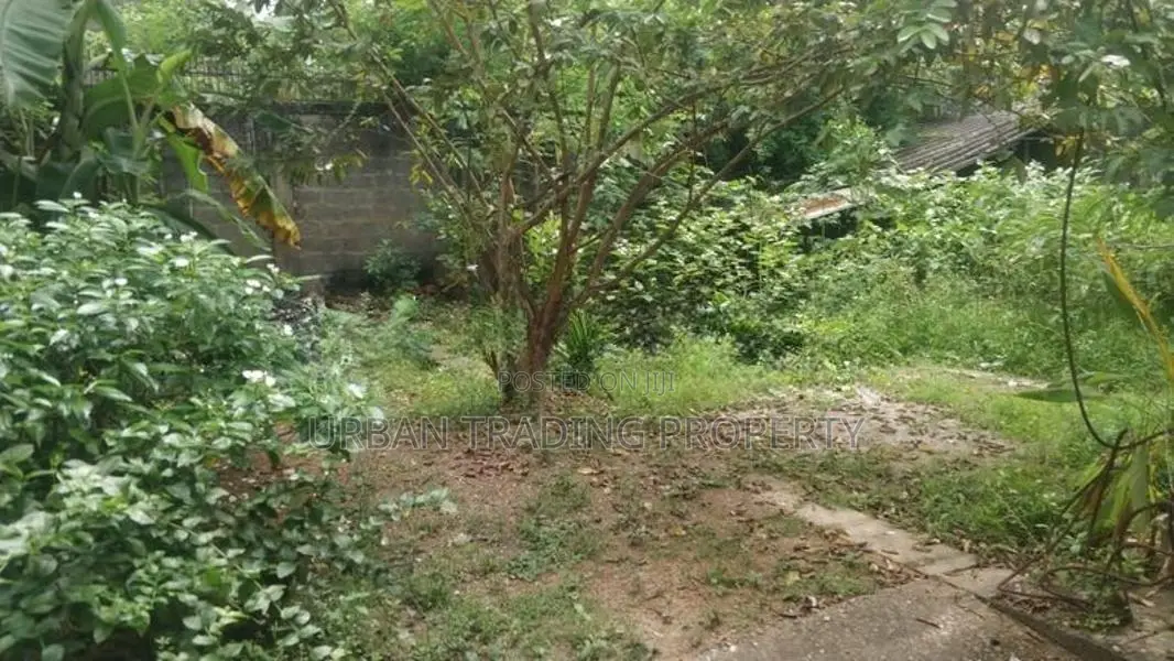 Two Storey House for Sale in Rodney Place Colombo 08