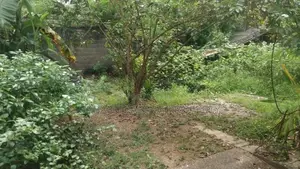 Two Storey House for Sale in Rodney Place Colombo 08
