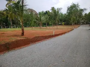 Land For Sale In Diuwlapitiya