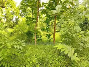 කුරුණෑගල නගරය ආසන්නයෙන් ඉඩමක්