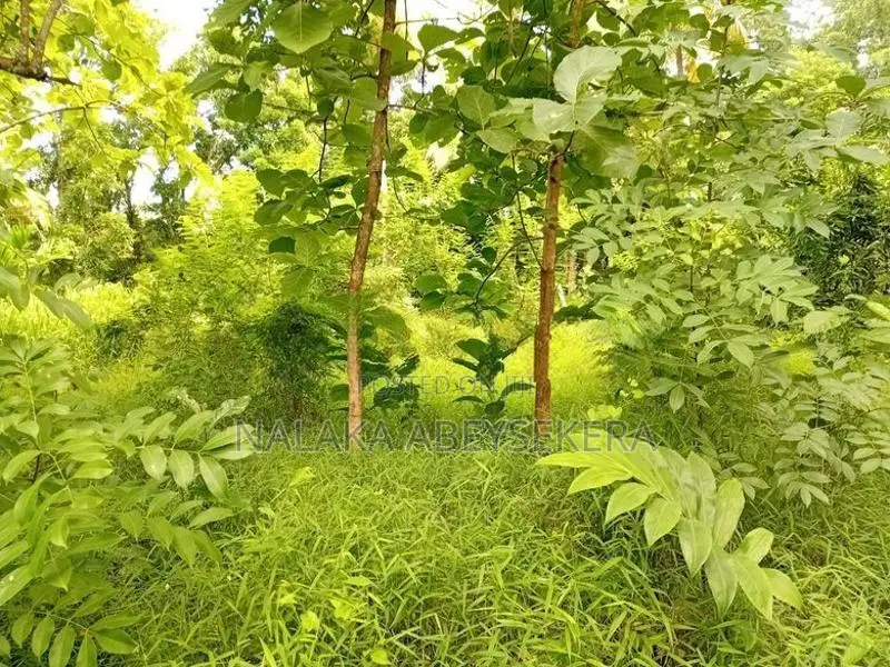 කුරුණෑගල නගරය ආසන්නයෙන් ඉඩමක්