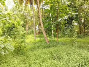 කුරුණෑගල නගරය ආසන්නයෙන් ඉඩමක්