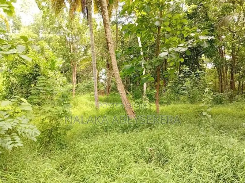 කුරුණෑගල නගරය ආසන්නයෙන් ඉඩමක්