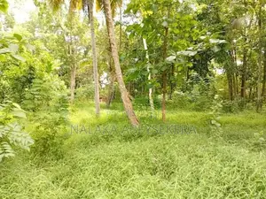 කුරුණෑගල නගරය ආසන්නයෙන් ඉඩමක්