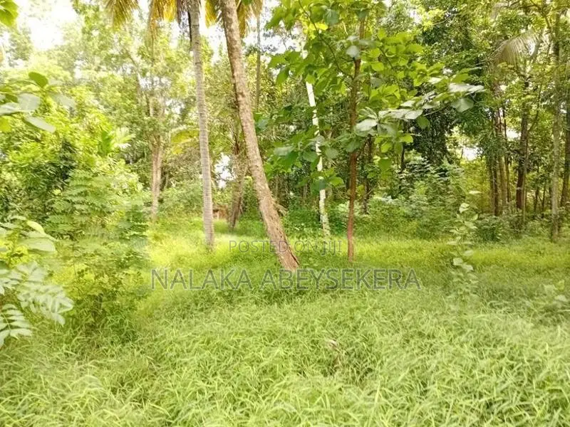 කුරුණෑගල නගරය ආසන්නයෙන් ඉඩමක්