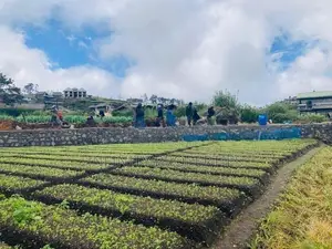 (AFA265) 58 Perches Land in Nuwara Eliya Hills