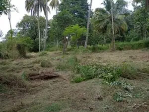 80 Perch Land for Sale Kurunegala
