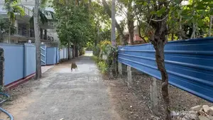 Land for Sale at Uduvil