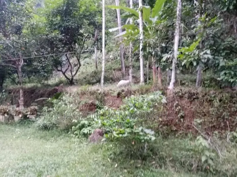 House for Sale in Homagama