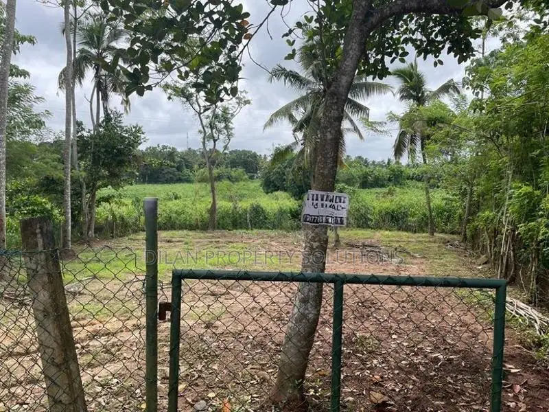 Bare Land for Sale in Samagi Mawatha, Talawathugoda