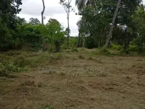 80 Perch Land for Sale Kurunegala