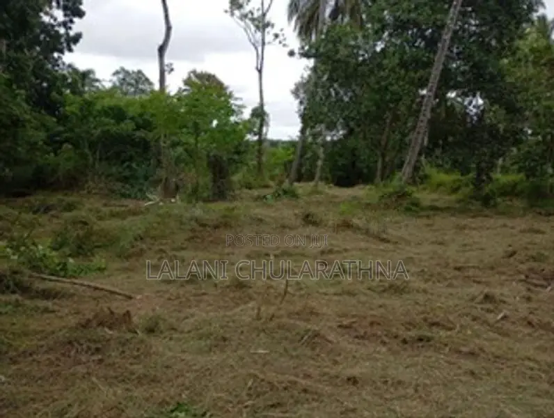80 Perch Land for Sale Kurunegala