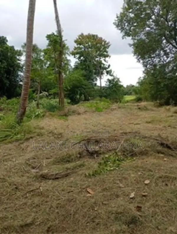 80 Perch Land for Sale Kurunegala