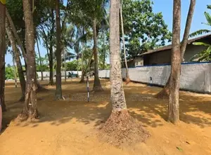 Yakkala නගරයෙන් නුවර පාරට 500m දුරින් අලුත්ම ඉඩම්