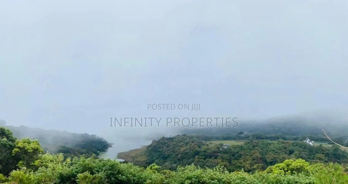 (AFA265) 58 Perches Land in Nuwara Eliya Hills