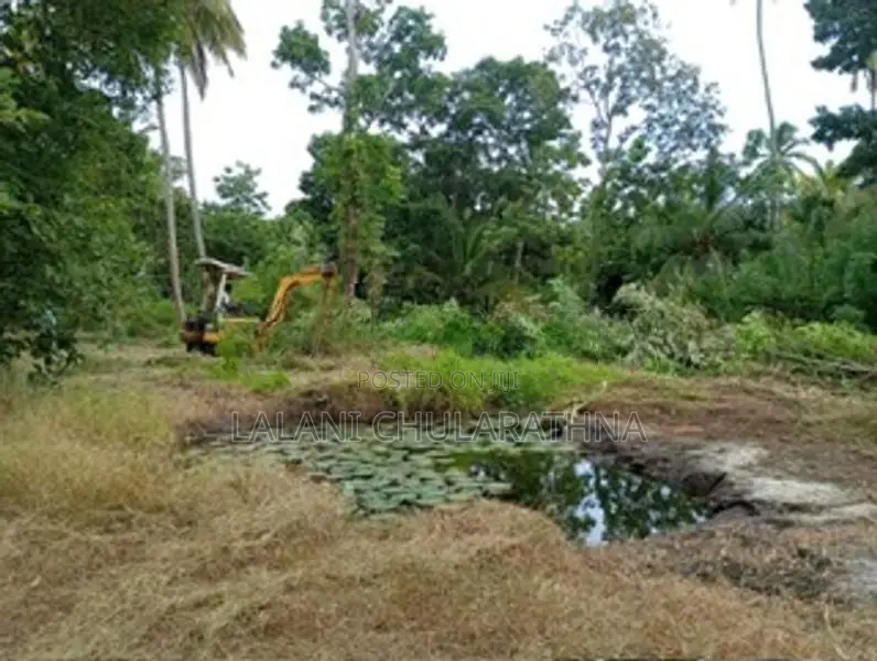 80 Perch Land for Sale Kurunegala