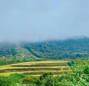 (AFA265) 58 Perches Land in Nuwara Eliya Hills