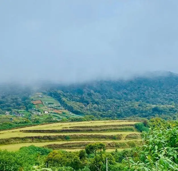 (AFA265) 58 Perches Land in Nuwara Eliya Hills