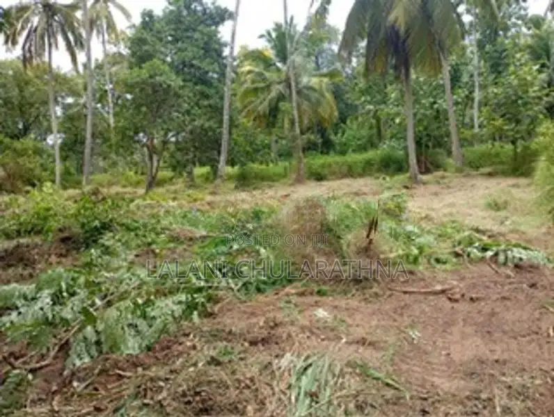 80 Perch Land for Sale Kurunegala