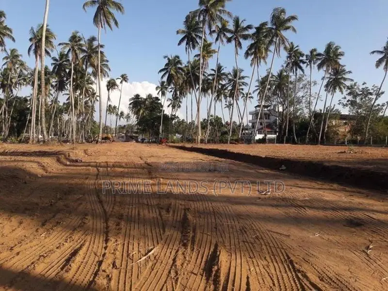 පැල්ලැන්දෙනිය හන්දියෙන් ඉඩමක්