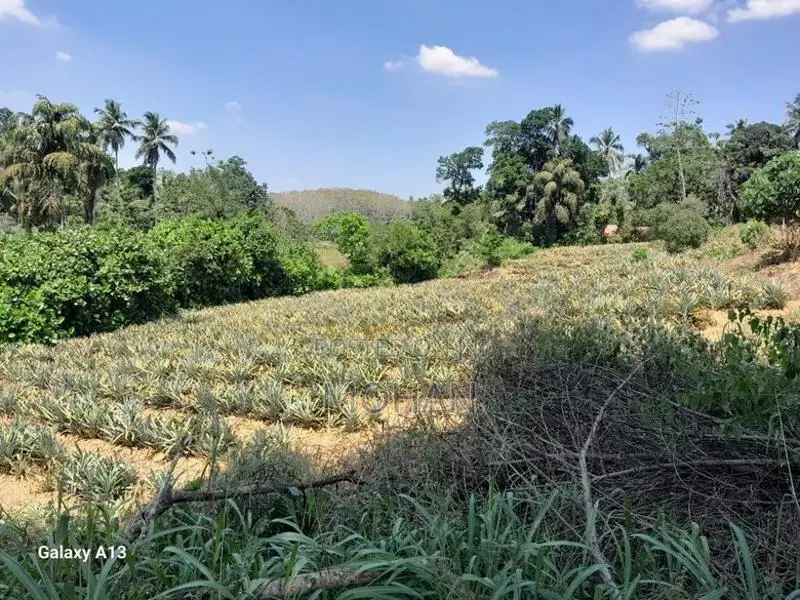 Land for Sale in Kirindiwela, Gampaha