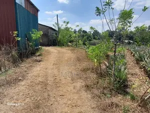 Land for Sale in Kirindiwela, Gampaha