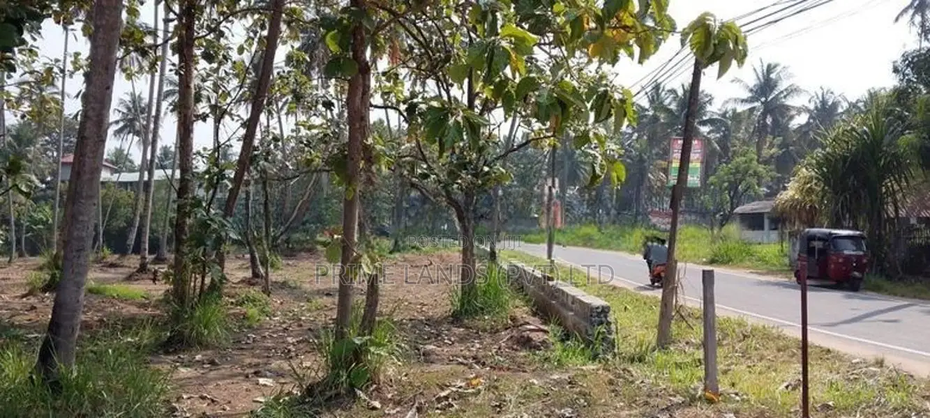 පැල්ලැන්දෙනිය හන්දියෙන් ඉඩමක්