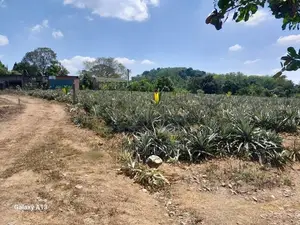 Land for Sale in Kirindiwela, Gampaha