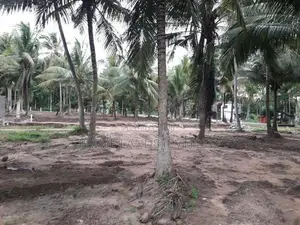 ඉඩමක් අනුරාධපුර බස් පාරින්