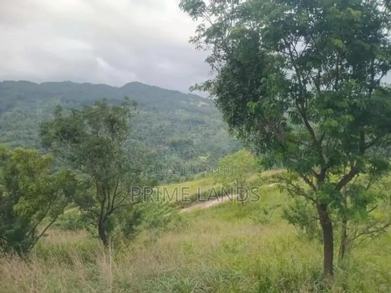 Land For Sale Nillamba