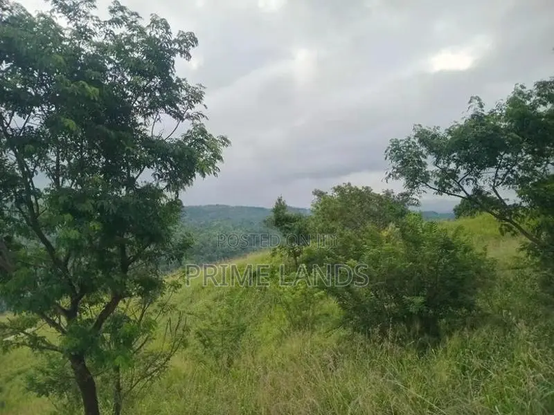 Land For Sale Nillamba