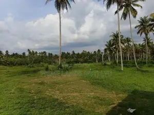 නාරම්මල නගරයට නුදුරින් ඉඩමක්