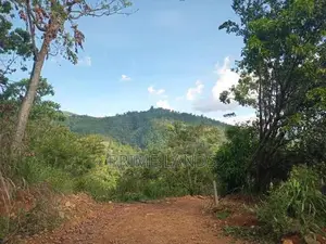 Land for Sale Nillamba