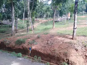 Land for Sale Nelundeniya