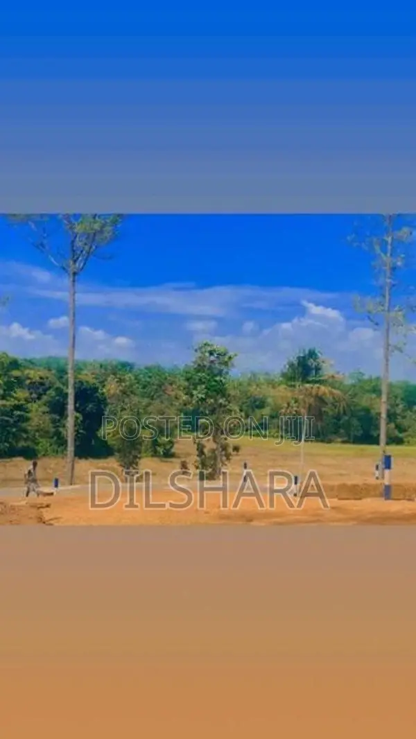 කැකනදුර හොද ඉඩම්