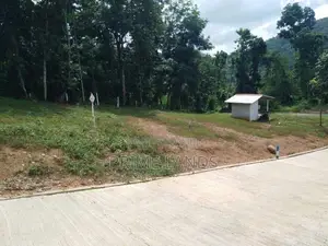 Land for Sale Nelundeniya