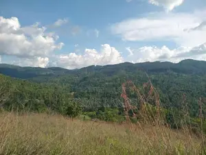 Land for Sale Galaha