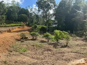ගාල්ල උඩුගම ජයන්ති හන්දිය අසලින් බිම් කොටස්