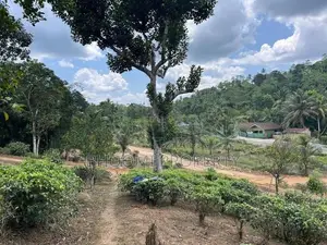 ගාල්ල උඩුගම බස් පාර ළඟින්ම පදිංචි වෙන්න