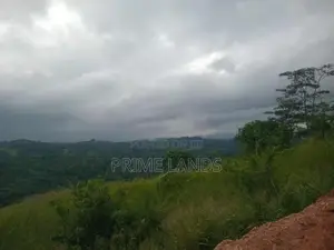 Land for Sale Nillamba