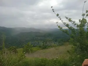 Land for Sale Nillamba