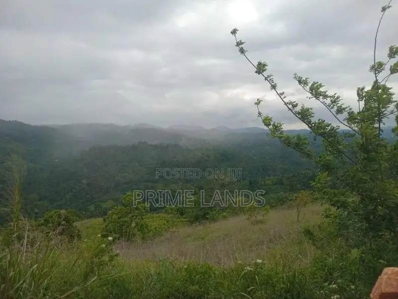 Land for Sale Nillamba