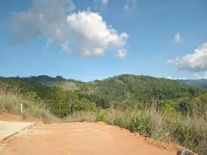 Land for Sale Nillamba