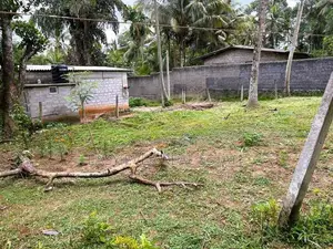 ඉඩමක් - කිරිඳිවැල
